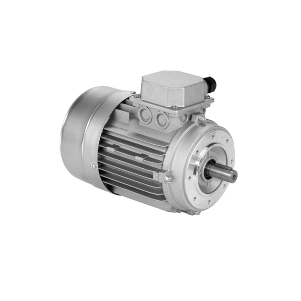 Motor MS trifásico